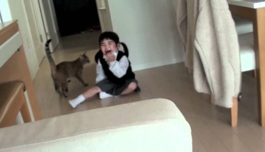 子供とめちゃくちゃ楽しそうに遊ぶ猫2011