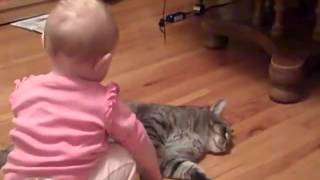 【猫動画】赤ちゃんとねこ【かわいい癒されます(*´∀｀*)】