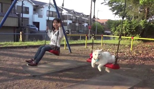 ネコ ねこ ブランコ 猫 の 1日 ショートムービー Cat and I want to go on the swing