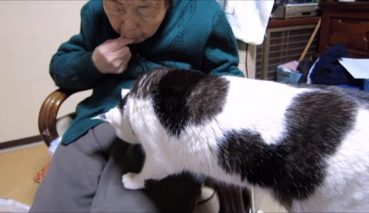 ネコが95歳のばあちゃんを驚かす！交流