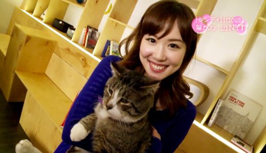 Inside NYC’s First Cat Cafe! ニューヨーク初の「猫カフェ」！ (English subs)