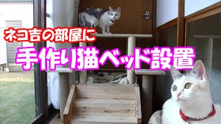 新コーナー【ネコ吉の部屋】手作り猫ベッドを設置しました♪　New challenge [Neko-Cat's Room] setting up a bed for cats♪