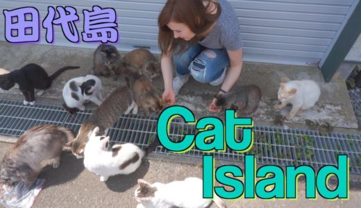 A Day on Japan's CAT ISLAND: TASHIROJIMA