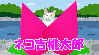 ネコのダンボール仮装～ネコ吉桃太郎の大冒険～　Cat’s cardboard costume ~Neko-Kichi Momotaro’s adventure~