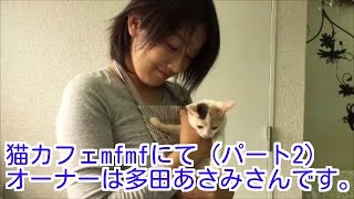 【関内駅】猫カフェmfmfにて（パート2）オーナーは多田あさみさんです。
