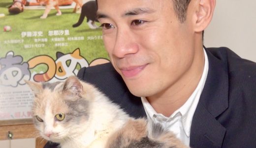 伊藤淳史、共演した猫たちにメロメロ！／映画『ねこあつめの家』インタビュー