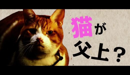 5月20日全国公開！映画『猫忍』予告編
