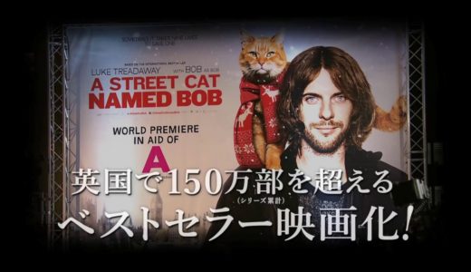 8/26公開！映画『ボブという名の猫　幸せのハイタッチ』