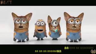 バナナの歌 ネコver. cats minion banana Movie