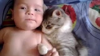 猫は赤ちゃんを守る – 猫は赤ちゃんを愛する – 最も面白い猫の映画2017 #84