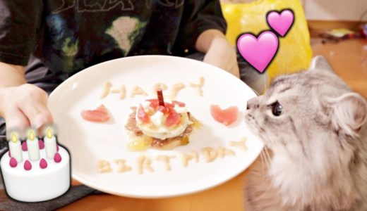 猫に誕生日ケーキを食べさせてみたら大喜び！