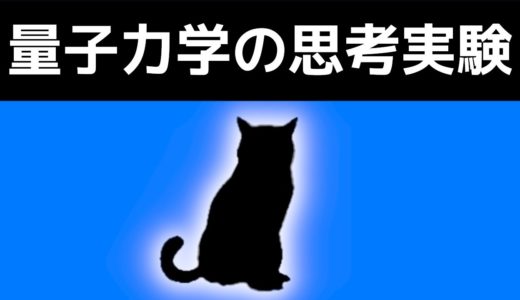 【挑戦】10分でわかるシュレーディンガーの猫