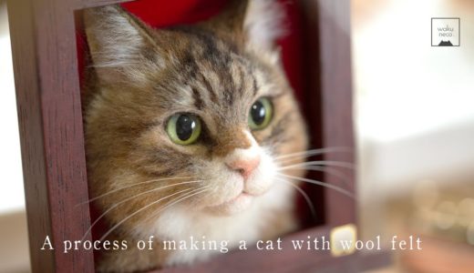 羊毛フェルトで猫を作る制作過程4　A process of making a cat with wool felt.