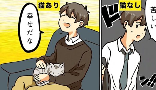 【漫画】猫を飼うとどんな生活になるのか？【マンガ動画】