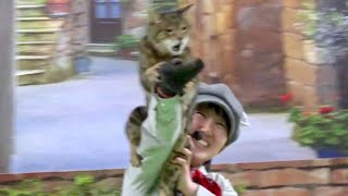 動物園初！猫本来の能力を披露するネコによるショー「ザ・キャッツ」（その２）　お誕生日サービスを使って那須どうぶつ王国へ行って来ました～♪　00103