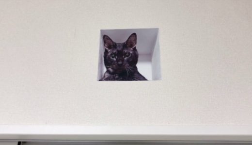 妄想マッピングステッカー／壁からネコ（黒猫）