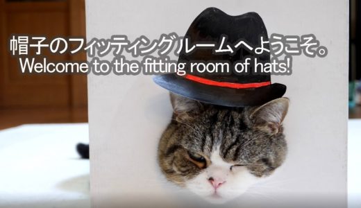 帽子とねこ。-Hats and Maru.-
