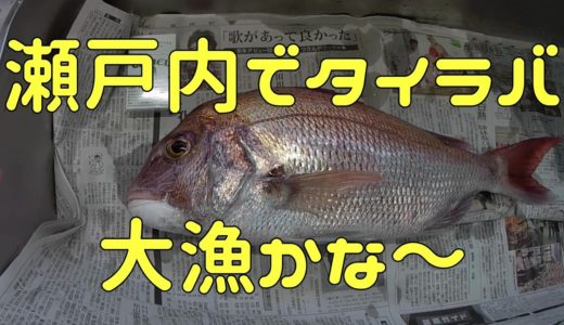【釣り】　一年ぶりの瀬戸内海　タイラバ    　ねこちゃん達も大喜び？