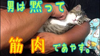 筋肉でねこをあやす☆ Sleeping a cat by a muscle