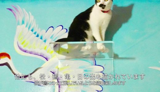 ねこ浴場　by　保護猫カフェ　ネコリパブリック大阪