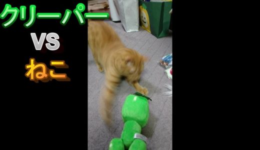 【ねこ】クリーパーと戦う猫【マイクラ】