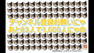 2019/8/11 夜の保護猫ハウス　Saved Cats’ House “Shinshu-Nekobiyori” at night