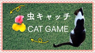 【猫が喜ぶ映像・小虫キャッチ！猫が寄ってくるゲーム30分】CAT GAMES
