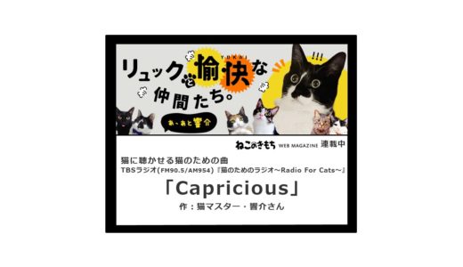 猫に聴かせる猫のための曲「Capricious」