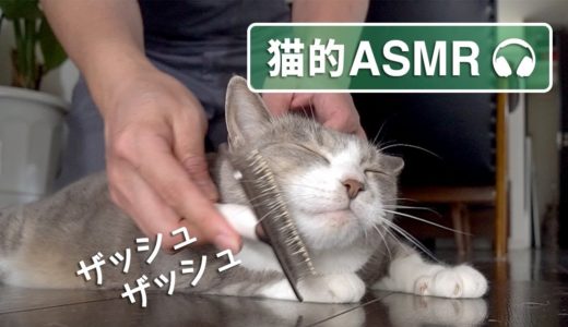 【猫的ASMR】 モフモフの音