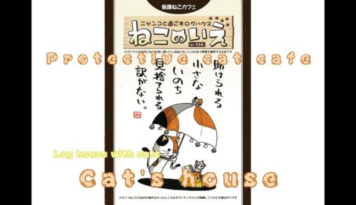 保護猫カフェ「ねこ達のいえ」のご紹介　－introduction of protection cat cafe　－