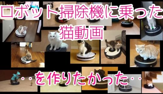 【猫動画】ロボット掃除機に乗った猫動画(を作りたかった)【VOICEROID実況】
