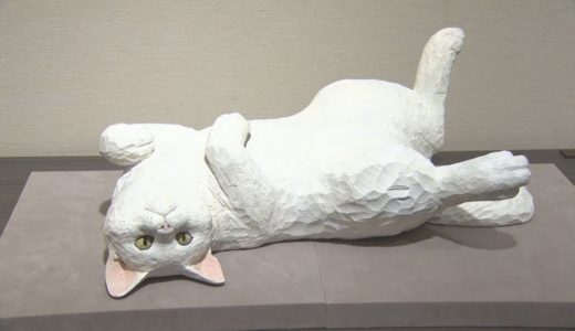 【HTBニュース】 まさにリアルネコ大集合「北海道猫物語」