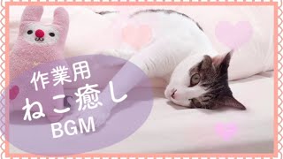 【作業用ねこ動画／猫が落ち着く音楽／癒しBGM】Cat healing videos & relaxing BGM