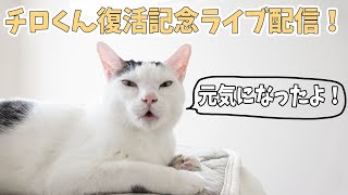 チロくん復活記念ライブ配信！