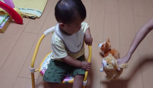 赤ちゃんVlog 犬とネコの動くおもちゃ – baby vlog