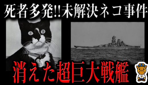 超巨大戦艦の失踪と呪いのネコ(不沈のサム)