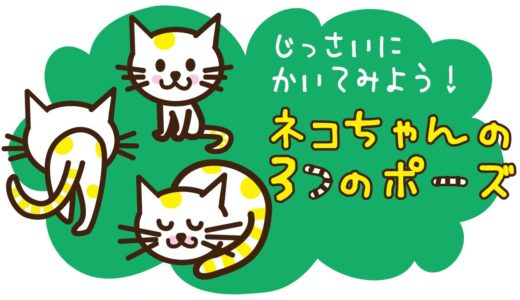 ネコちゃんの3つのポーズを描いてみよう！【たのしい図案教室・Happy illustration room】