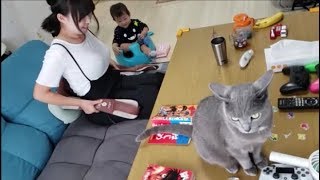 マッサージ器を当てて悶えるママ ＆ 荒ぶる灰色猫