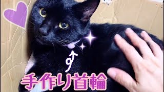 保護した黒猫ナナの首輪練習はじめます！