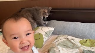 赤ちゃんと一緒にフミフミする猫 ノルウェージャンフォレストキャット How to pamper your baby Cat imitated
