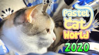 Pastel Cat World 2020が始まります！