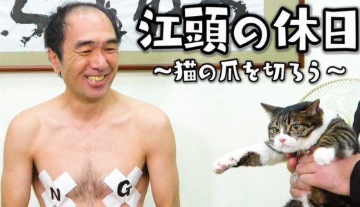 【猫の日】江頭の休日〜猫の爪を切ろう〜/Cat’s Day