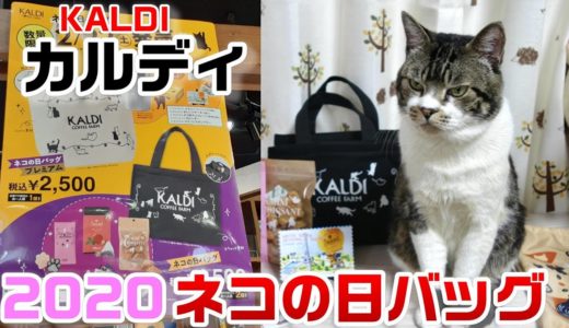 猫と一緒に『カルディ・ネコの日バッグ2020』を見てみよう！リキちゃん検査員のスリスリチェック！☆猫の日・KALDI・福袋・商品紹介