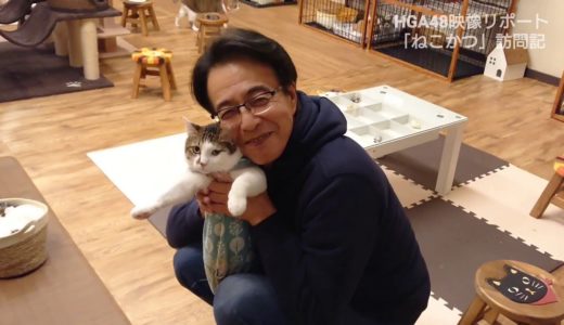 HGA48映像リポート 保護猫カフェ「ねこかつ 」訪問記🐱