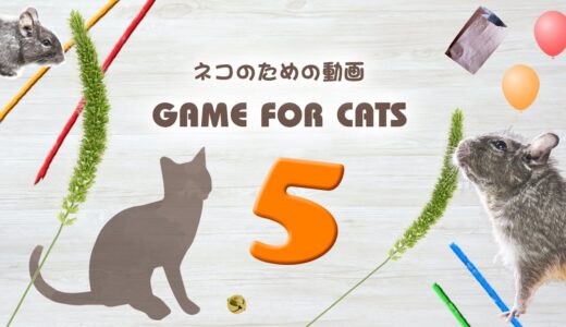 【猫用動画MIX５】ねずみ・ねこじゃらしなど26分 GAME FOR CATS 5