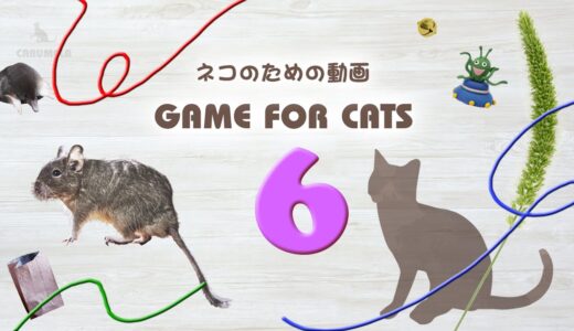 【猫用動画MIX６】ひも・ねずみなど30分 GAME FOR CATS 6