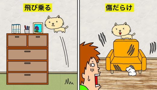 【アニメ】もしも猫を飼ったらどんな生活になるのか