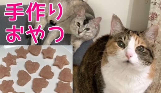 【猫のおやつ】ママの手作り！関西弁おしゃべりペット