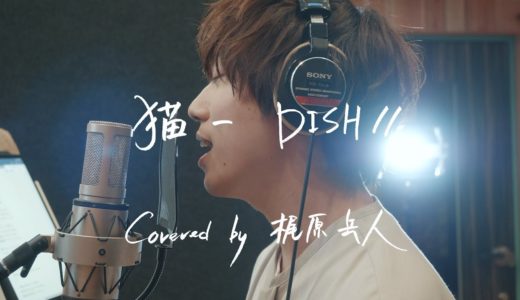 猫 / DISH// (cover)【梶原岳人（ガクともチャンネル）】