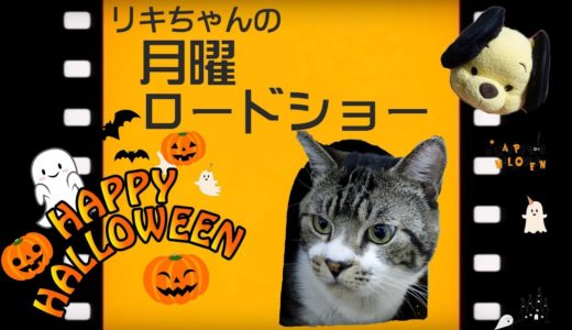 【猫ライブ】リキちゃんのハロウィン！LIVE☆EOSRでライブ配信　りきちゃんねるライブ  Cat Live Broadcasting